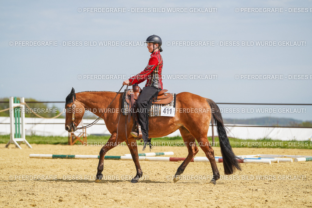 DSC04529 | Pferdegrafie