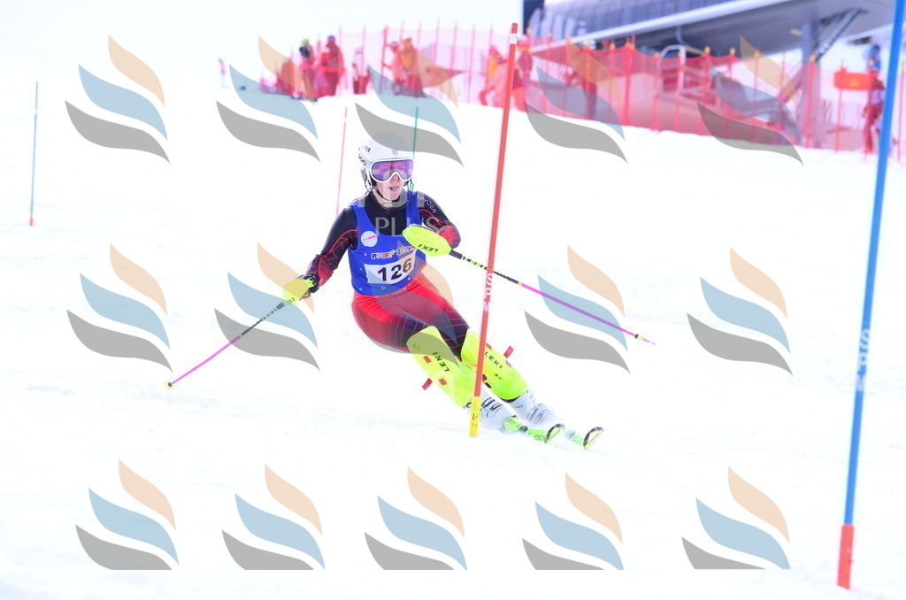 B1754 | holidayphoto