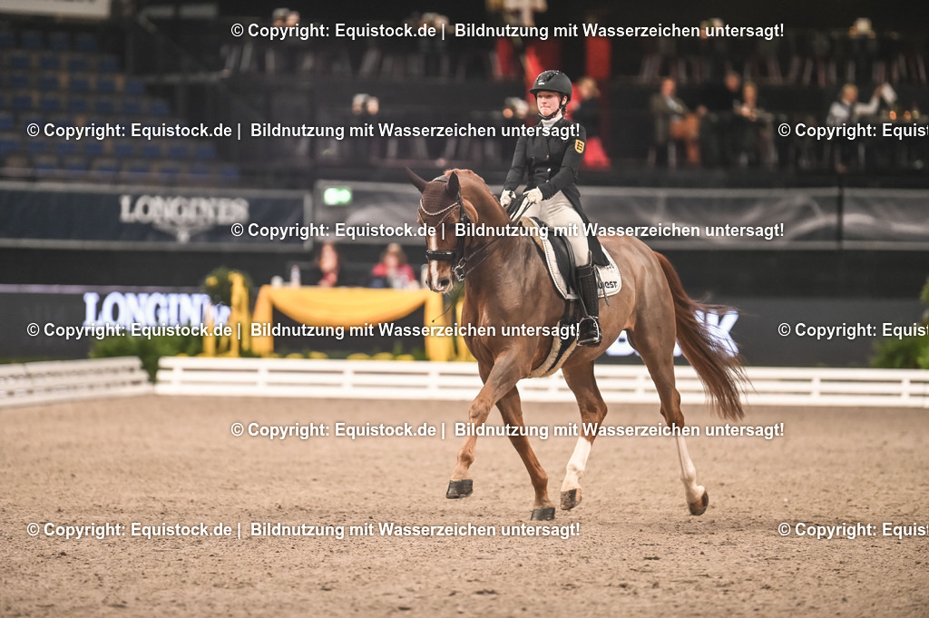 20231115_20_Dressur_Kl-S++_0197_TOMsPiC | Foto: Thomas Hartig