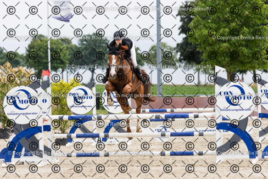 CL5A2084 | Emilia Reinking Fotografie - Realisiert mit Pictrs.com