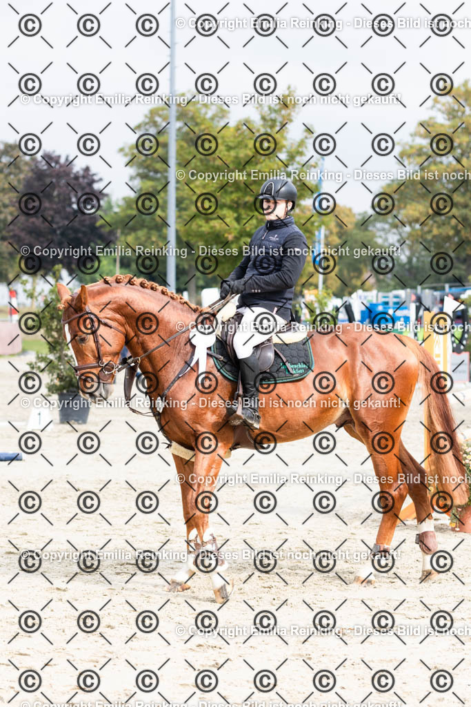 CL5A5030 | Emilia Reinking Fotografie - Realisiert mit Pictrs.com