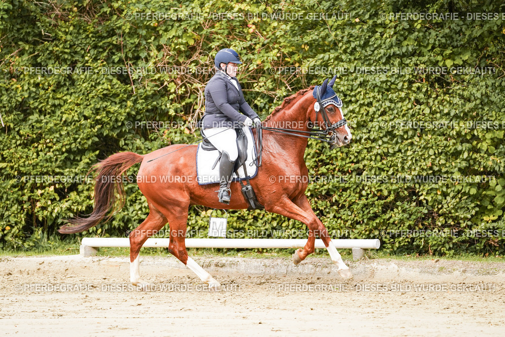 DSC03236 | Pferdegrafie