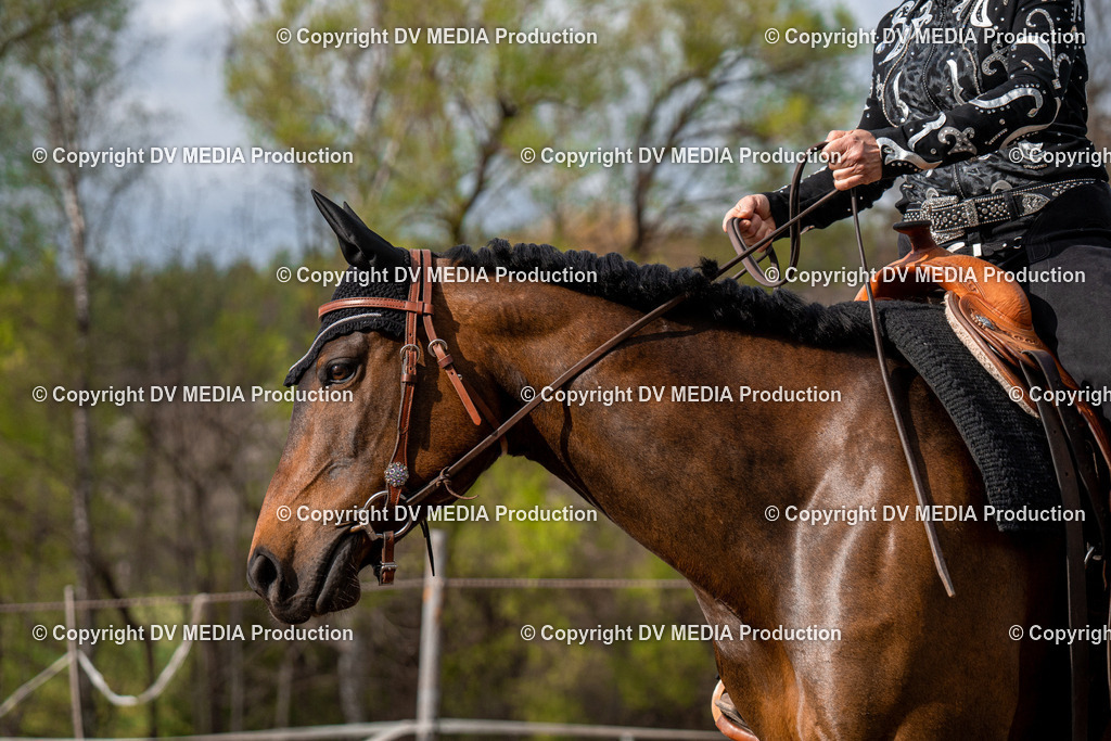 BAL02766 | dv-media-shop - Realisiert mit Pictrs.com