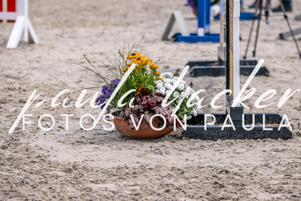 IMG_5993 | Erleben Sie dynamische Sport- und emotionale Tierfotografie in Süddeutschland mit Fotos von Paula. Spezialisiert auf Pferde- und Hundefotografie sowie Sportevents. Kontaktieren Sie mich für einzigartige und ausdrucksstarke Bilder Ihrer besonderen Momente.