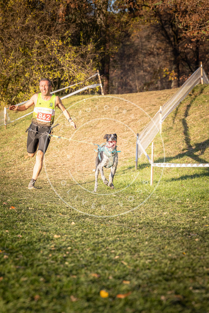 CaniXpix_0L8A0954 | Hundefotografie, Tierfotograf, Pfotenfotografie, Fotoshooting Hund, Hunde Portrait, Hundesport, Hundeportraits, Heideshooting, Hunde, Sportfotograf, Hundefotograf, Turnierhundsport, THS,  - Realisiert mit Pictrs.com