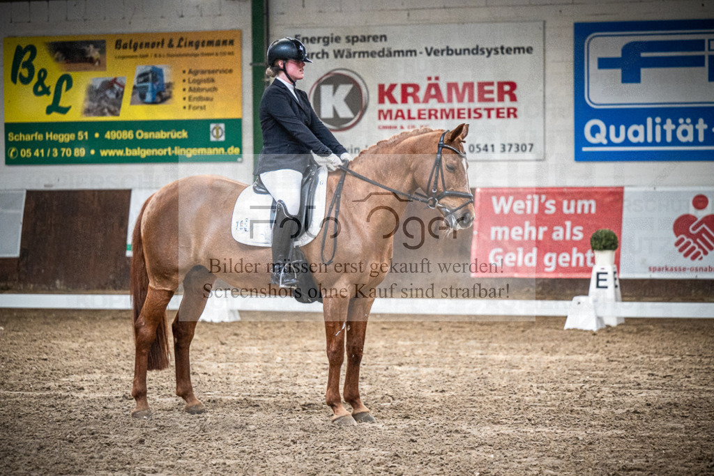 DOS_0573 | Entdecke hochwertige Reitturnierfotos von Foto Oger. Professionell, emotional und authentisch – jetzt Lieblingsmomente im Shop bestellen.Deutschlandweite Turnierfotografie. - Realisiert mit Pictrs.com
