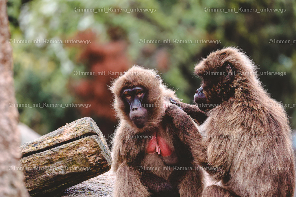 N39A6021 | immer_mit_kamera_unterwegs