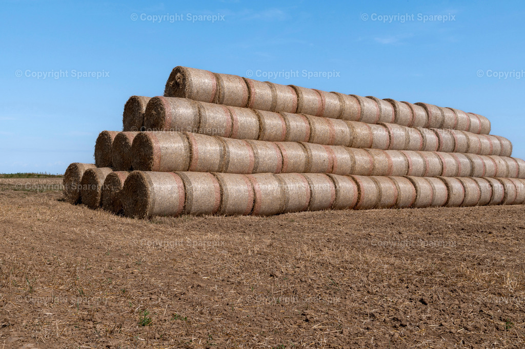CAR_Agri_Stubblefield23 | Camera height 1,30m - light 5/60° - Realisiert mit Pictrs.com