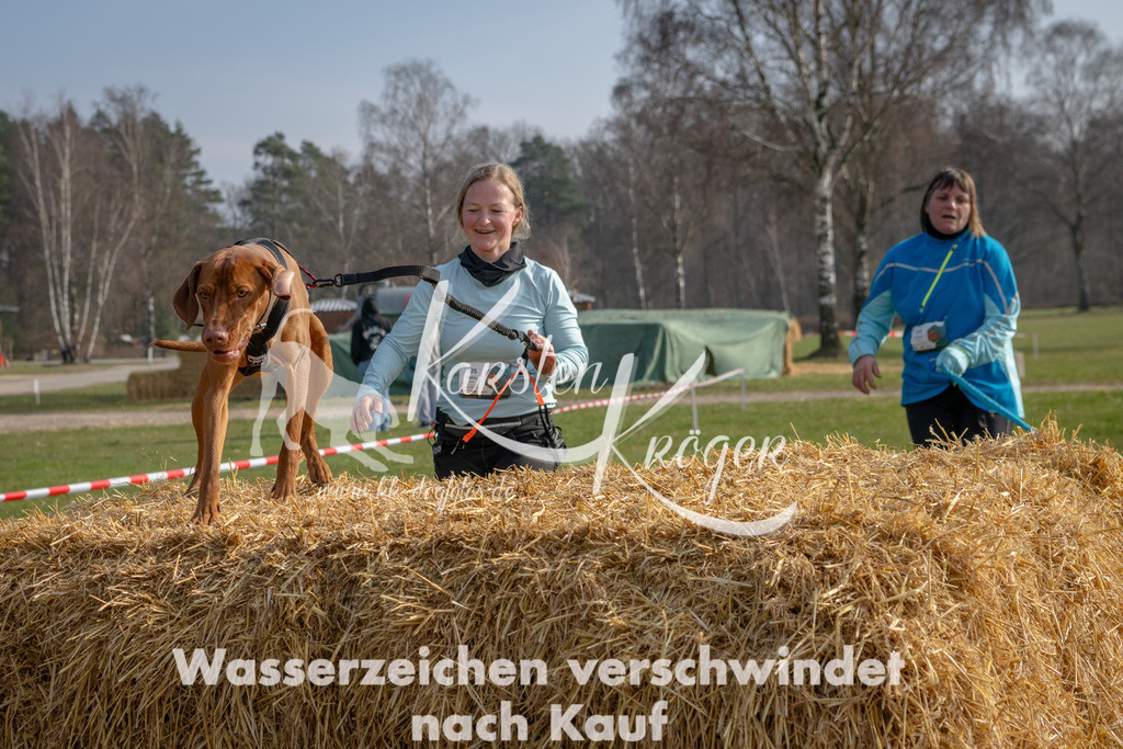 _ZZ91328 | kk-dogfotos