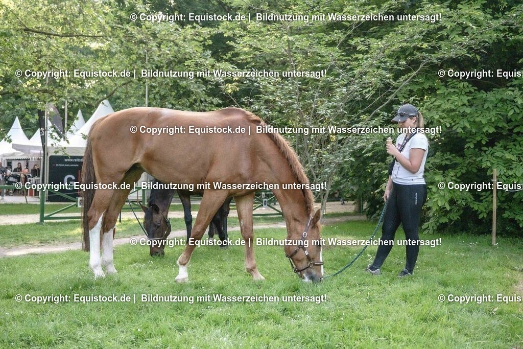 ZFC_4143 | equistock