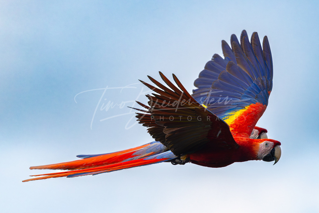 l | Buy high-quality aviation and travel photography prints by professional photographer Timo Breidenstein. Authentic images, professionally printed, worldwide shipping. - Realisiert mit Pictrs.com