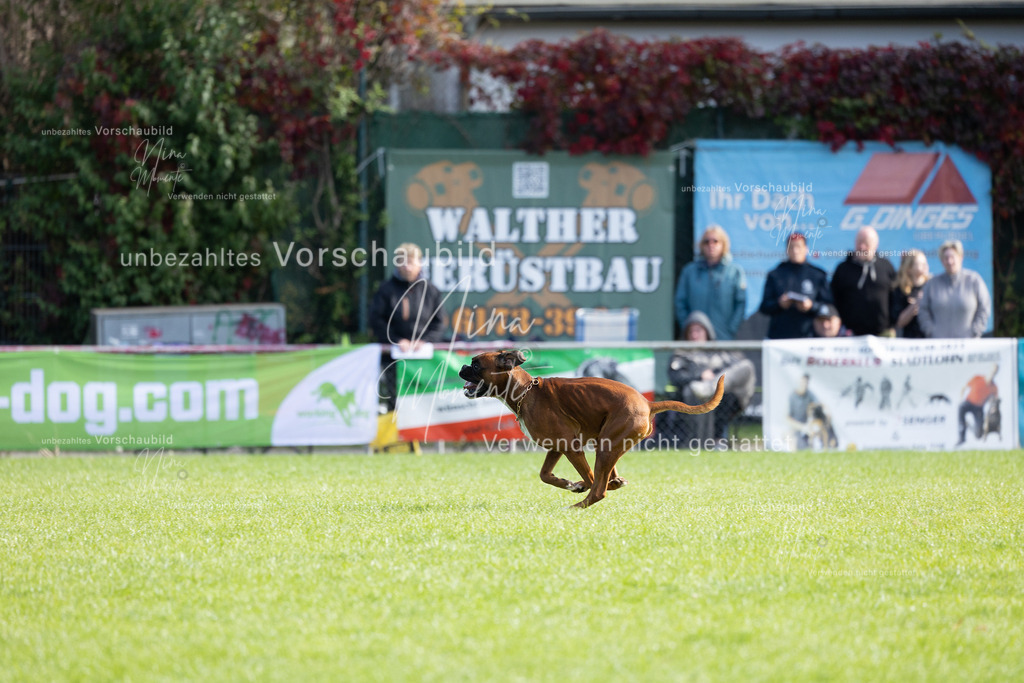 _16A6795 | Einzigartige Fotos von Hunden & Menschen –Actionfotos, Portraits, Vereinsaufnahmen & Paarshootings – authentisch, lebendig & mit Herz.