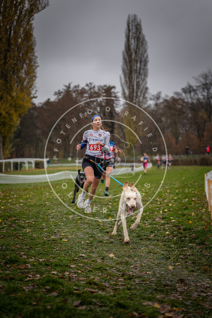 CaniXpix_DV3A9012 | Hundefotografie, Tierfotograf, Pfotenfotografie, Fotoshooting Hund, Hunde Portrait, Hundesport, Hundeportraits, Heideshooting, Hunde, Sportfotograf, Hundefotograf, Turnierhundsport, THS,  - Realisiert mit Pictrs.com