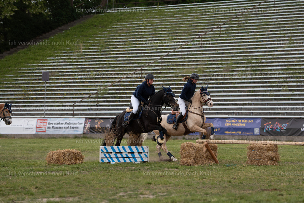PI26_show_Jan_Picutures7C_07117.jpg | working equitationturnier fotograf videograf stoibphotography marixx film working equitation deutschland reitsport turnierfotografie eventfotografie equestrian events