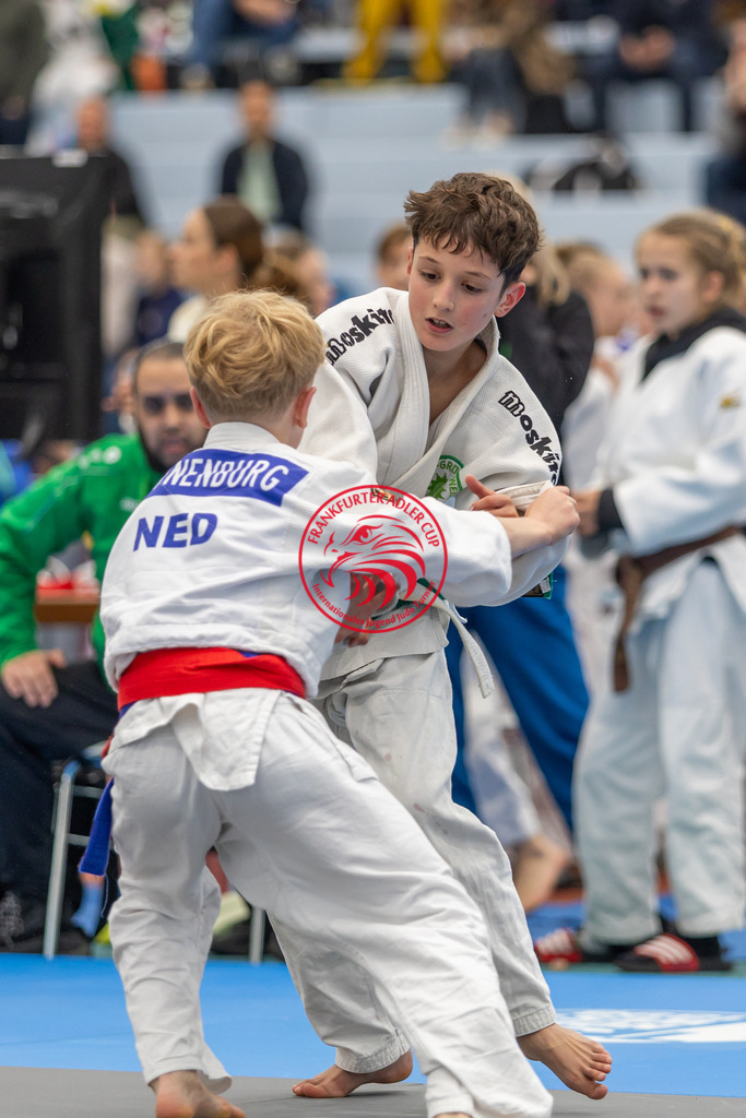 Internationaler Adler Cup 2024 | Foto vom Internationalen Adler Cup Judo Turnier im Sport- und Freizeitzentrum Kalbach im Oktober 2024 - Realisiert mit Pictrs.com