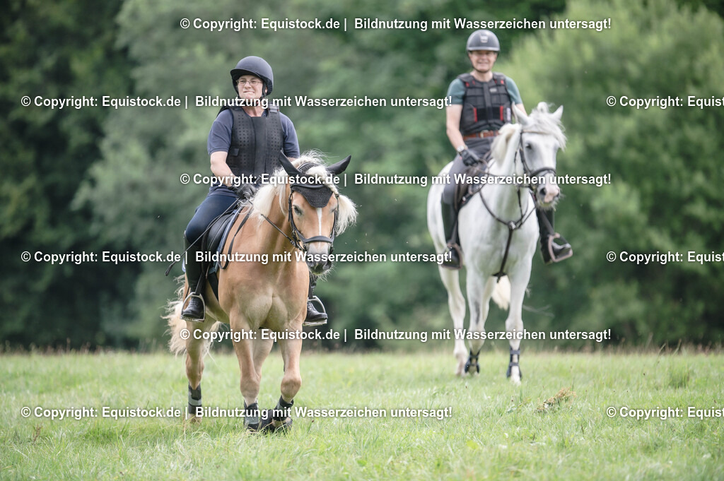 20250726_Vielseitigkeitslehrgang-Marbach_0565 | Foto: Thomas Hartig