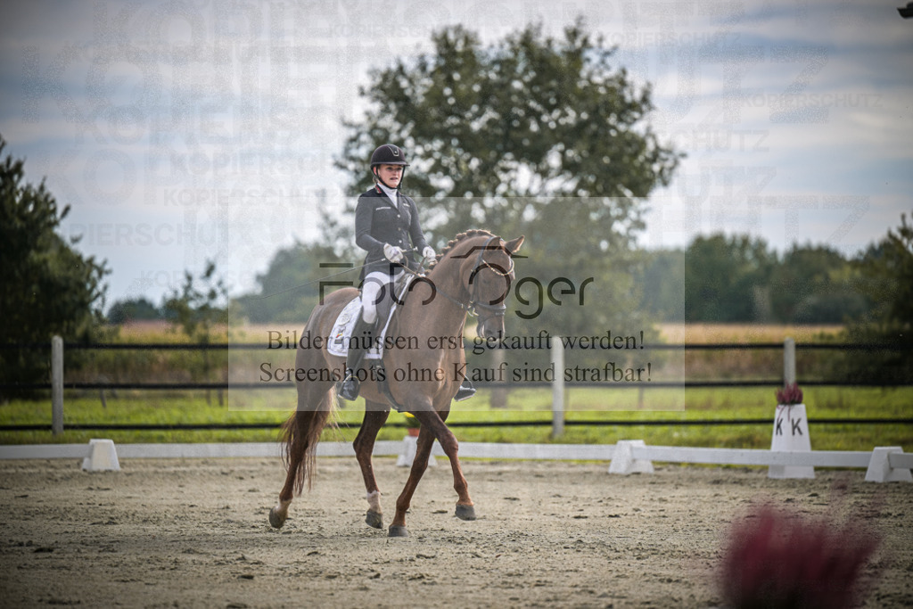 DOS_1960 | Entdecke hochwertige Reitturnierfotos von Foto Oger. Professionell, emotional und authentisch – jetzt Lieblingsmomente im Shop bestellen.Deutschlandweite Turnierfotografie. - Realisiert mit Pictrs.com