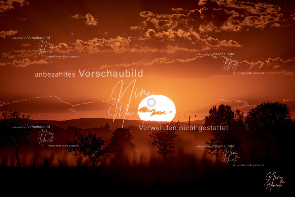 _16A3505 | Einzigartige Fotos von Hunden & Menschen –Actionfotos, Portraits, Vereinsaufnahmen & Paarshootings – authentisch, lebendig & mit Herz.