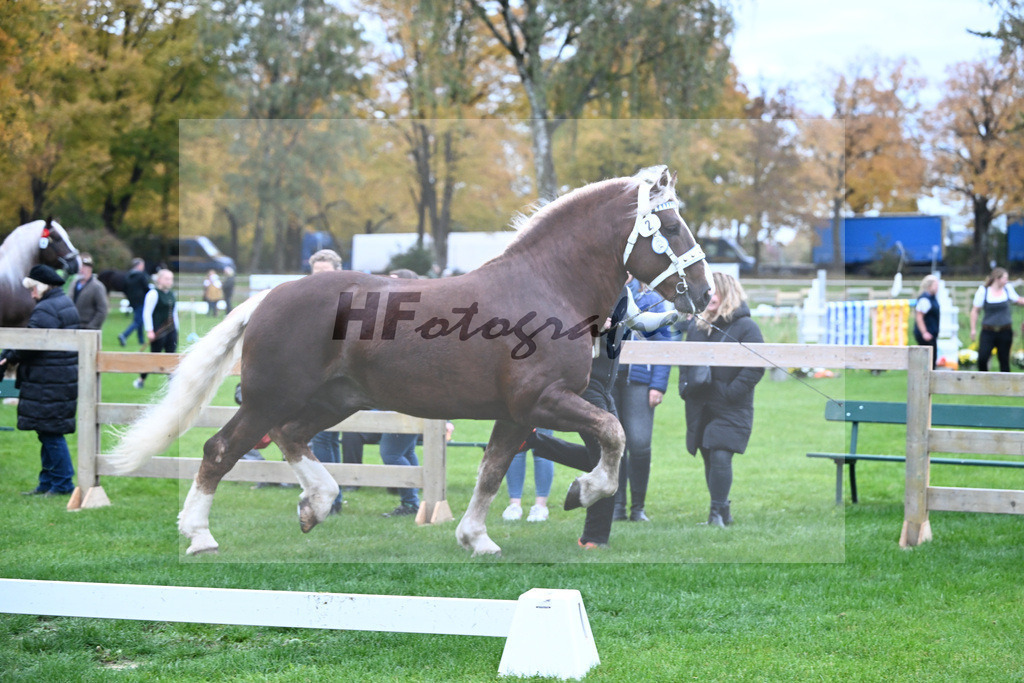 Kat-Nr. 2 Variano v. Versailles_Walter_41250029 | hf-fotografie - Realizzato con Pictrs.com