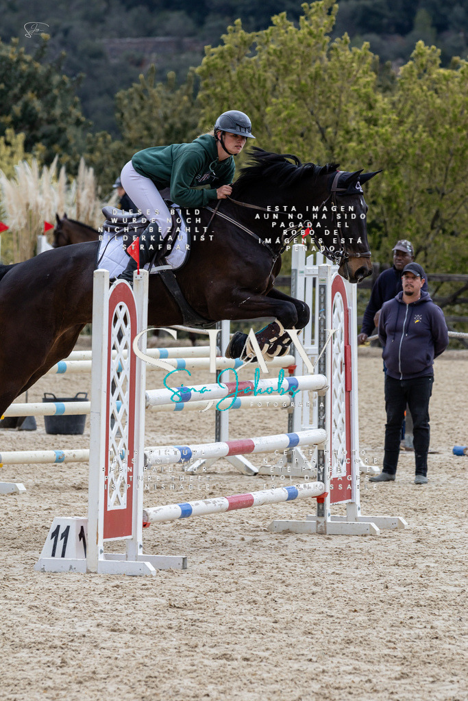 IMG_4098 | s-jay-photography - Realisiert mit Pictrs.com