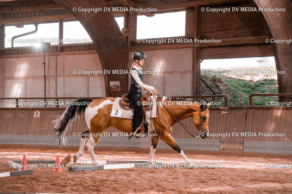 NE200240 | dv-media-shop - Realisiert mit Pictrs.com