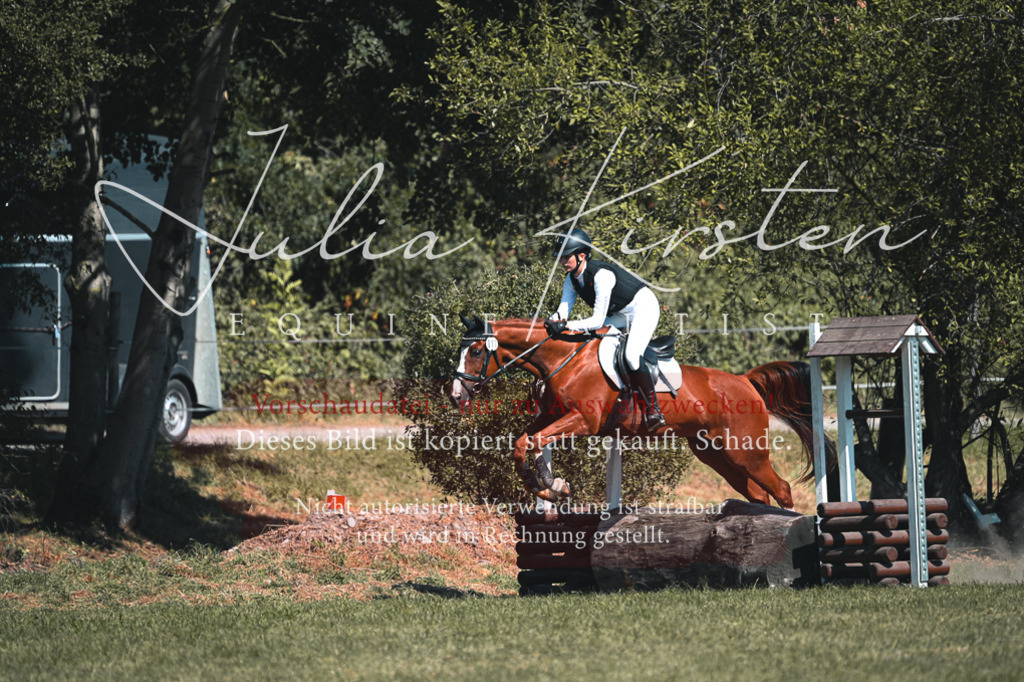 DSC_8178 | Pferde- und Turnierfotografie in Westsachsen. Pferdeportraits, Auftragszeichnungen und intuitive Kunst.