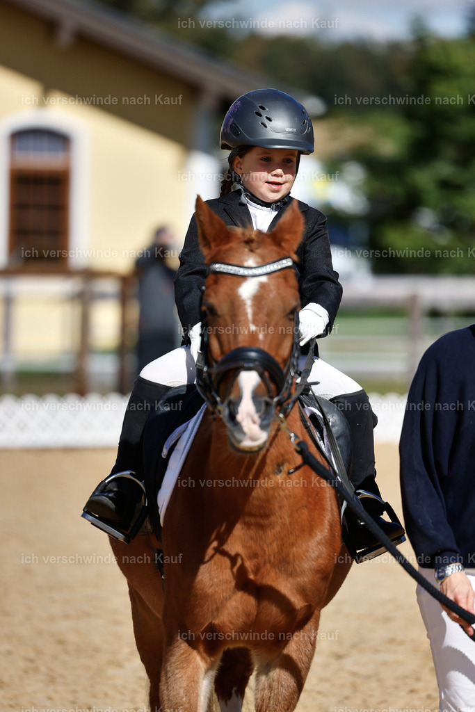 01--Ponyführzügel -StoibPH-6813 | working equitationturnier fotograf videograf stoibphotography marixx film working equitation deutschland reitsport turnierfotografie eventfotografie equestrian events