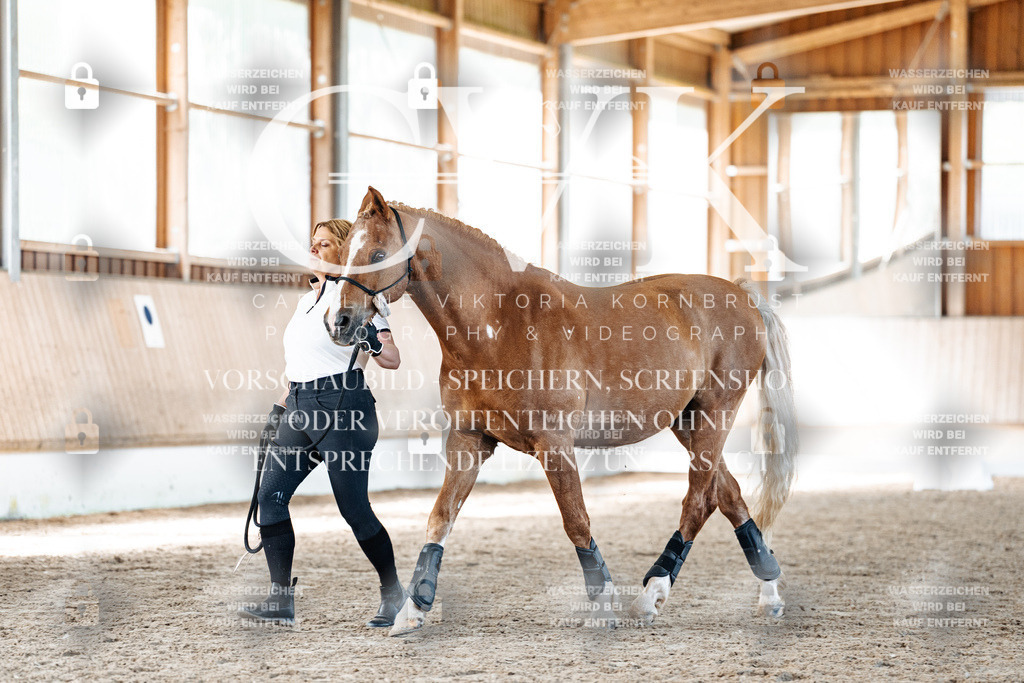 CK906580 | Turnierfotografie Pferdefotografie Trier Rheinland-Pfalz Pferdesport Reitsport Tierfotografie Sportfotografie Pferdevideo Pferdevideografie Equestrianvideography equestrianphotography  - Realisiert mit Pictrs.com