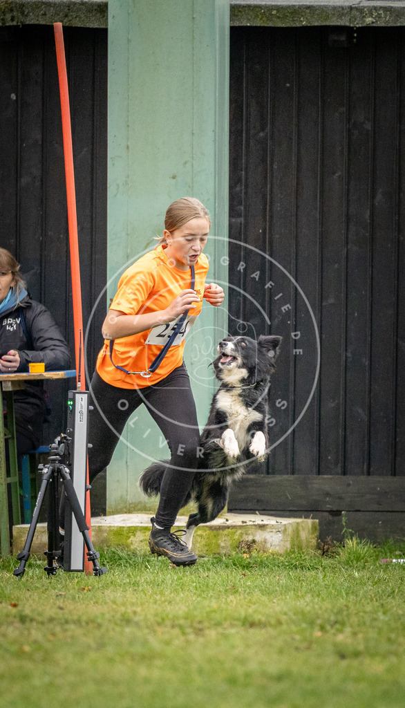 Pfotenfotografie_DV3A0562 | Hundefotografie, Tierfotograf, Pfotenfotografie, Fotoshooting Hund, Hunde Portrait, Hundesport, Hundeportraits, Heideshooting, Hunde, Sportfotograf, Hundefotograf, Turnierhundsport, THS,  - Realisiert mit Pictrs.com