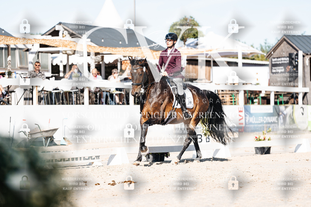 CK907563 | Turnierfotografie Pferdefotografie Trier Rheinland-Pfalz Pferdesport Reitsport Tierfotografie Sportfotografie Pferdevideo Pferdevideografie Equestrianvideography equestrianphotography  - Realisiert mit Pictrs.com