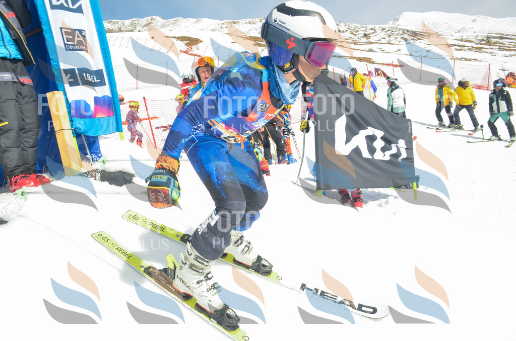 _ELE7022 | holidayphoto