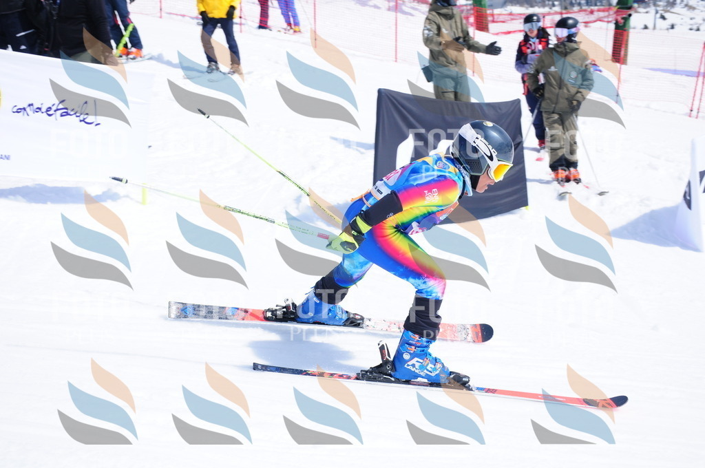 DSC_6908 | holidayphoto