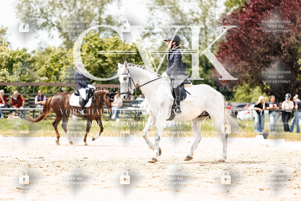 CK902138 | Turnierfotografie Pferdefotografie Trier Rheinland-Pfalz Pferdesport Reitsport Tierfotografie Sportfotografie Pferdevideo Pferdevideografie Equestrianvideography equestrianphotography  - Realisiert mit Pictrs.com