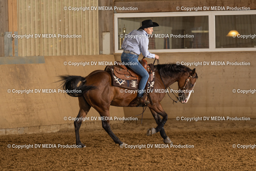 LAU00733 | dv-media-shop - Realisiert mit Pictrs.com