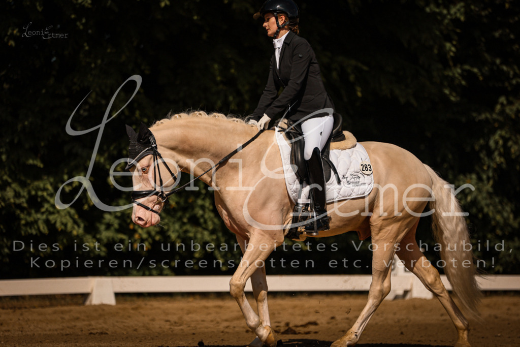 07.FrDrPA00223 | Leoni Ertmer Photography - Realisiert mit Pictrs.com