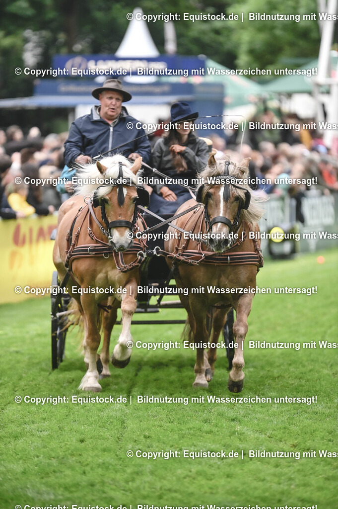 20240517_Lange-Pferdenacht_0161 | Foto: Thomas Hartig