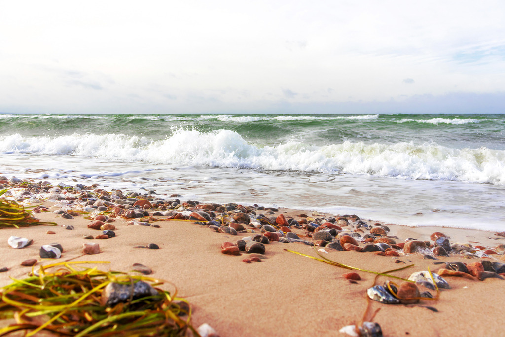 Leinwand: Wellen und Küstenzauber auf Fehmarn | Ein beruhigendes Küstenmotiv für eine entspannte Atmosphäre: Dieses Wandbild zeigt die kraftvolle und harmonische Dynamik der Wellen am Flügger Strand auf Fehmarn, ergänzt durch die natürlichen Elemente von Steinen und Seetang im Vordergrund. Die maritime Farbgebung und das offene Landschaftsbild fördern eine gelassene Umgebung. Der Wechsel von bewegtem Wasser und ruhigem Strand vermittelt ein Gefühl von Freiheit und Erdung – wie ein tiefer Atemzug am Meer. Ideal für Zuhause, Praxen, Büros, Ferienwohnungen oder überall dort, wo Atmosphäre zählt. Jetzt als Leinwandbild entdecken und die Kraft der Küste in Ihre Räume holen. - Realisiert mit Pictrs.com