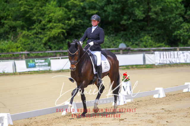 DKP45951 | Turniersportfotografie; Pferdefotografie; Dressurfotografie