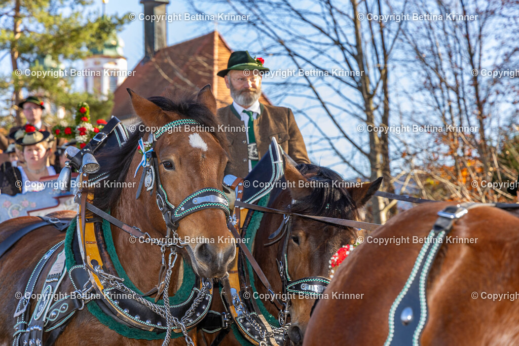 LBT25-1396 | foto-bettina-krinner - Realisiert mit Pictrs.com