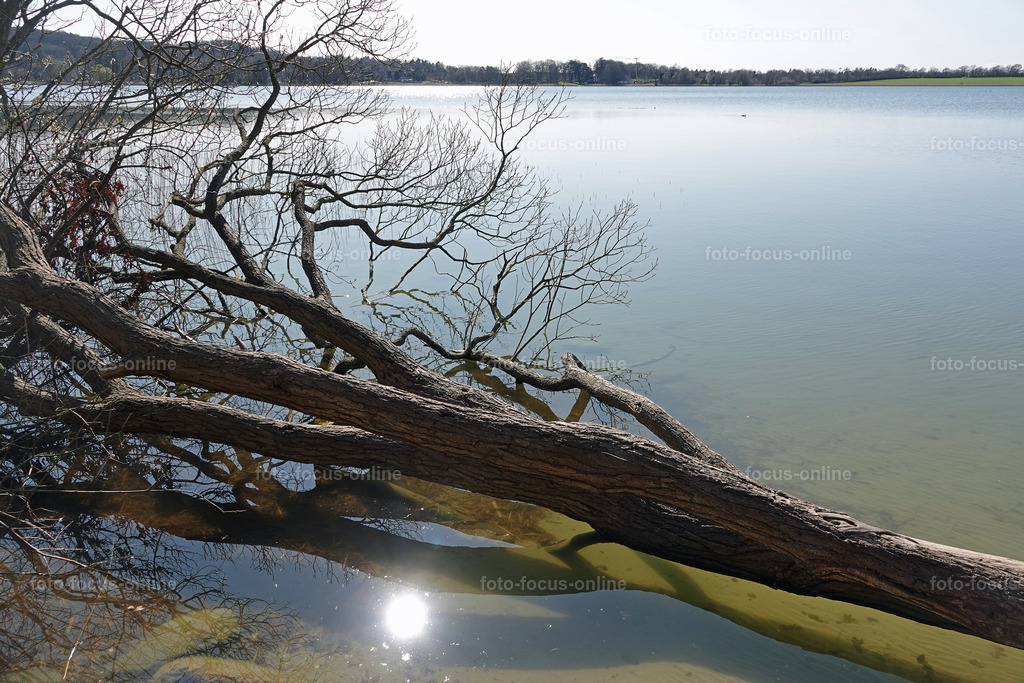 Smiling Lake_31 | Late afternoon in spring at the lake