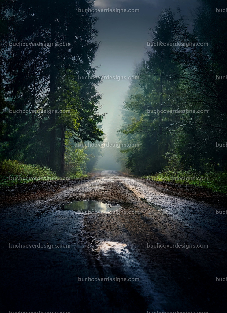Verlassene Straße im Wald | Entdecken Sie kreative Buch Cover Designs für Self-Publishing-Autoren und Verlage! Unsere maßgeschneiderten Designs ziehen Leser an und bringen Ihre Geschichten visuell zum Leben. Lassen Sie uns Ihr perfektes Cover gestalten!