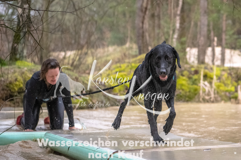 1058_ZZ93905-Bearbeitet | kk-dogfotos
