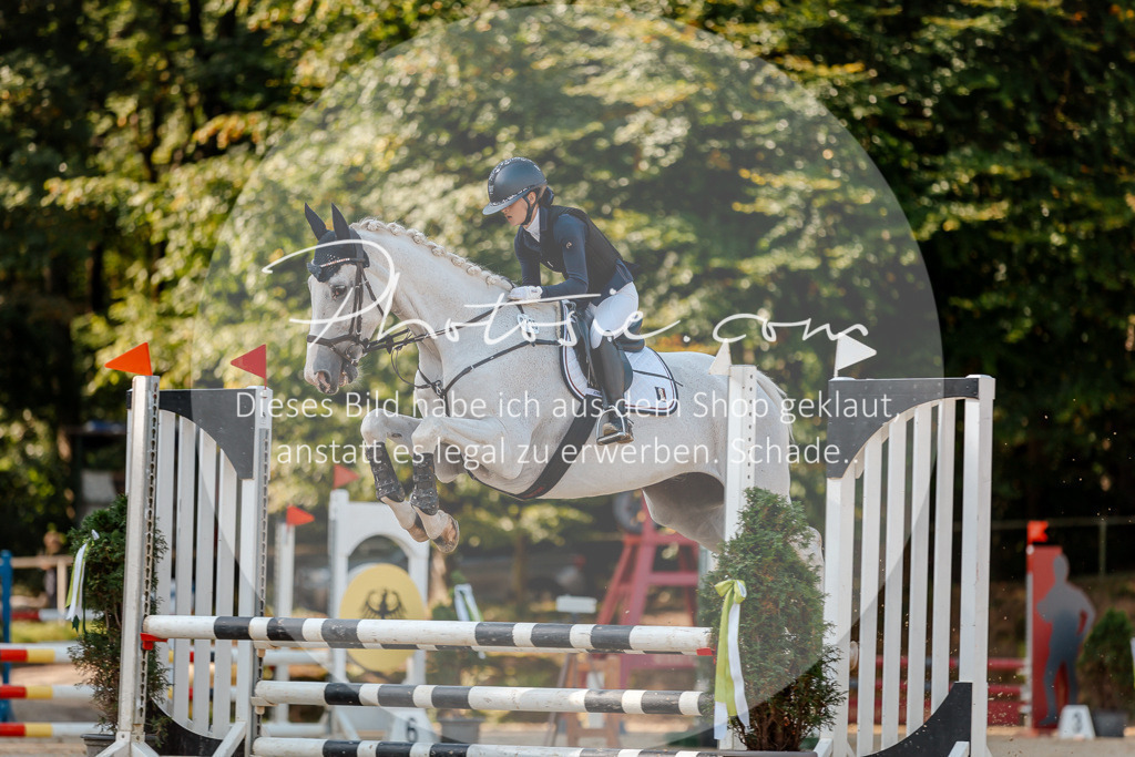 3I6A3263 | Stimmungsvolle Portraits und Reitsportfotografie im Ruhrgebiet und im Münsterland.

Pferdefotografie, Hundefotografie, Tierfotografie, Reportagen, Portraits von Tier und Mensch, Turnierfotografie in Bochum, Recklinghausen, Marl, Haltern am See, Dülmen.. - Realisiert mit Pictrs.com