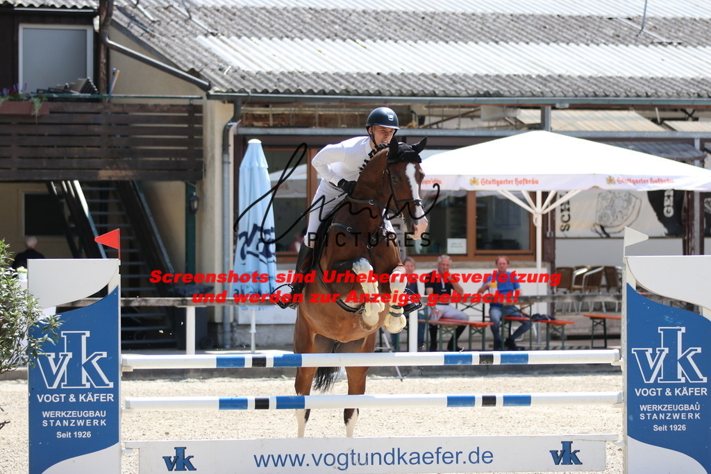 IMG_0088 | lmwpictures - Realisiert mit Pictrs.com