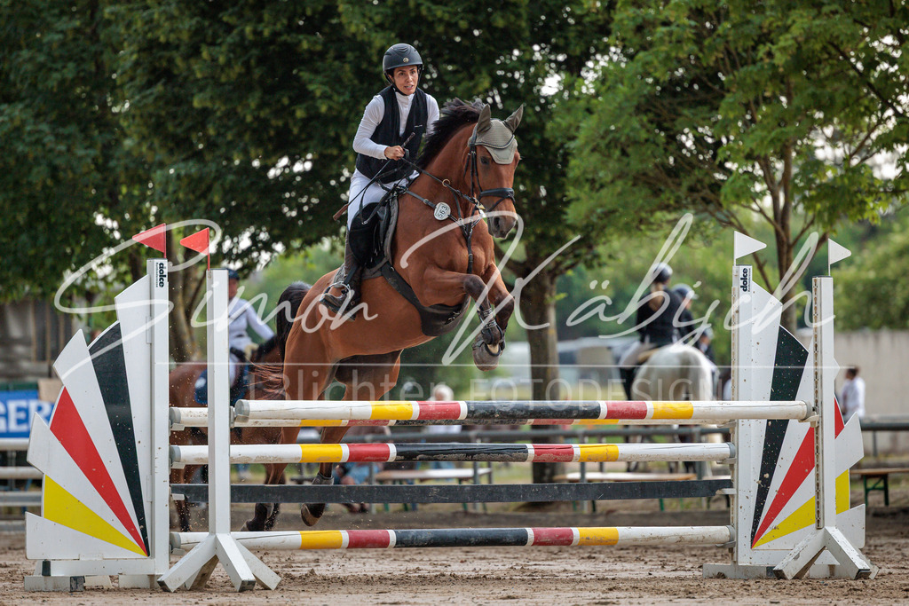 20260531-_3LI3487 | Tierfotografie Pferde, Hunde, Katzen, Haustiere.
Turnierfotografie Reitturniere, Reiten, Springreiten, Dressur in Hanau, dem Main-Kinzig-Kreis und dem Rhein-Main- Gebiet um Frankfurt