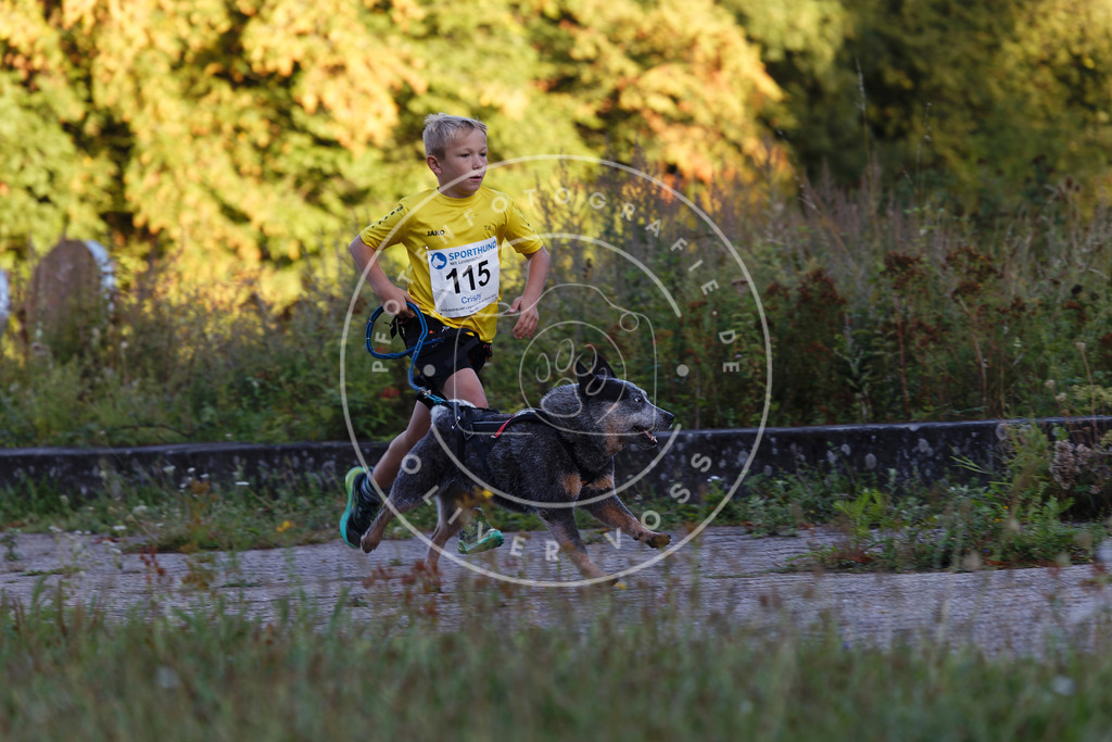 0L8A4336 | Hundefotografie, Tierfotograf, Pfotenfotografie, Fotoshooting Hund, Hunde Portrait, Hundesport, Hundeportraits, Heideshooting, Hunde, Sportfotograf, Hundefotograf, Turnierhundsport, THS,  - Realisiert mit Pictrs.com