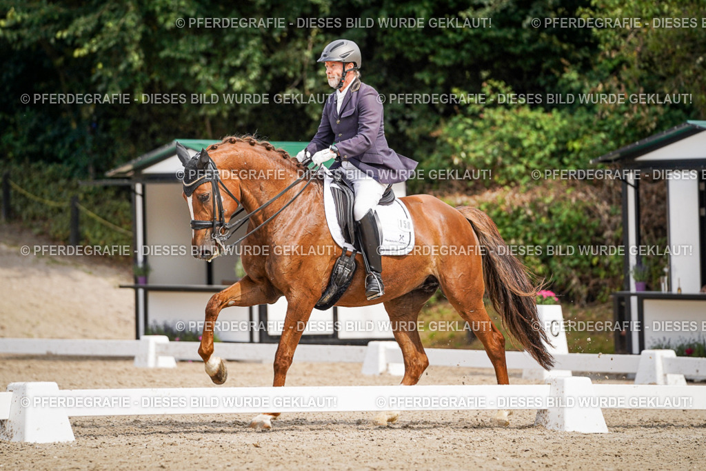 DSC05812 | Pferdegrafie