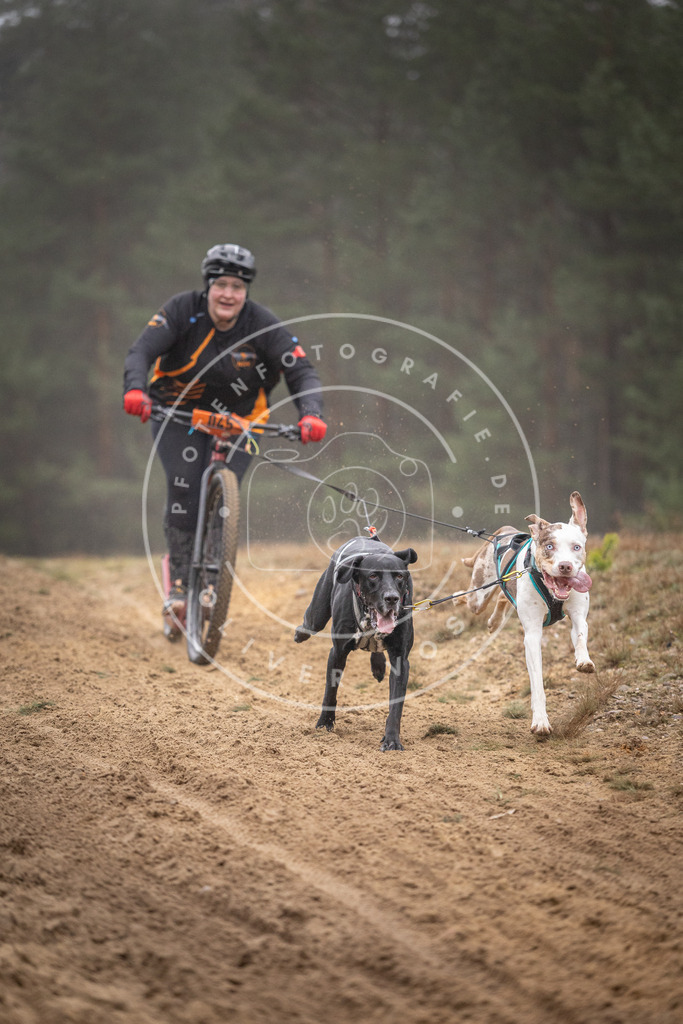 Pfotenfotografie_DV3A1066 | Hundefotografie, Tierfotograf, Pfotenfotografie, Fotoshooting Hund, Hunde Portrait, Hundesport, Hundeportraits, Heideshooting, Hunde, Sportfotograf, Hundefotograf, Turnierhundsport, THS,  - Realisiert mit Pictrs.com