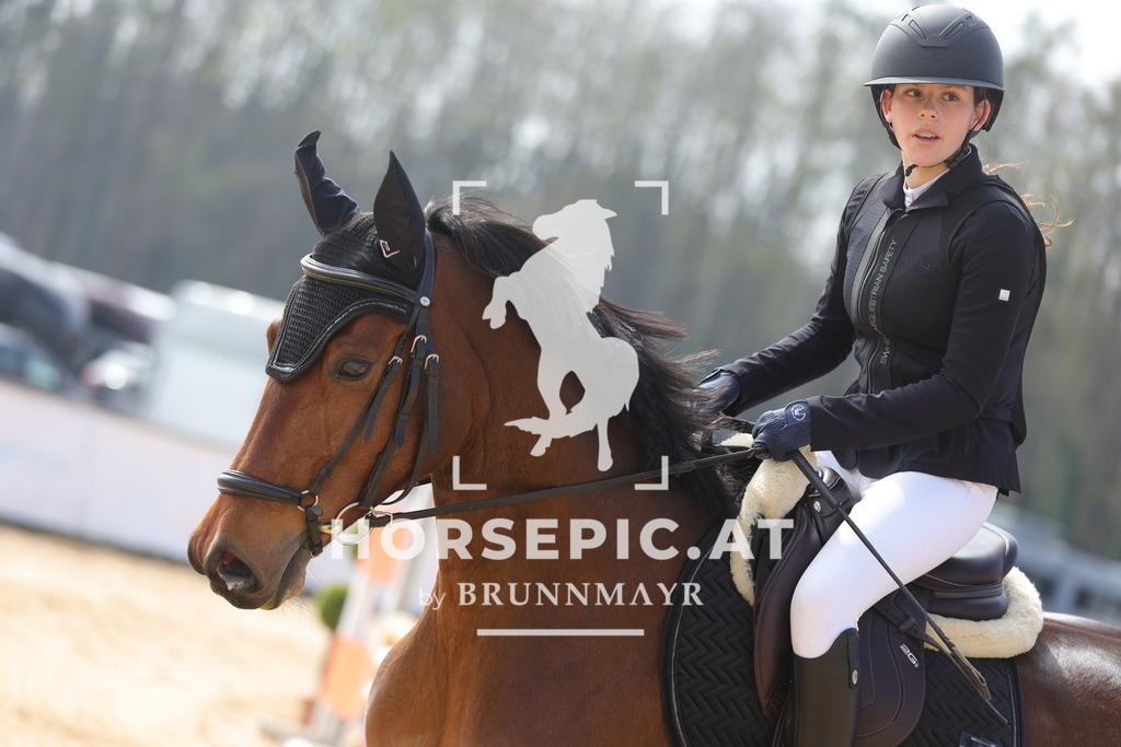 0P6A9495 | Willkommen bei Brunnmayr - Design & Fotografie – Ihrem Spezialisten für Reitturniere und Pferdeveranstaltungen in Oberösterreich, Salzburg und Bayern! Seit über 17 Jahren sind wir leidenschaftlich dabei.