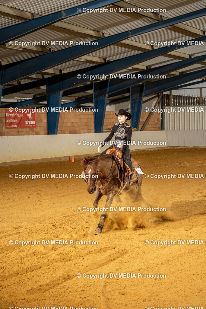 MIT00533 | dv-media-shop - Realisiert mit Pictrs.com